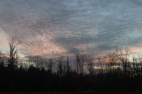 Altocumulus clouds