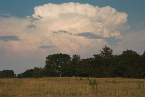Cumulonimbus clouds