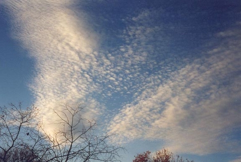 Cirrocumulus clouds