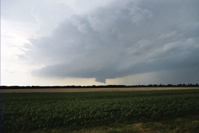 Beginning Supercell