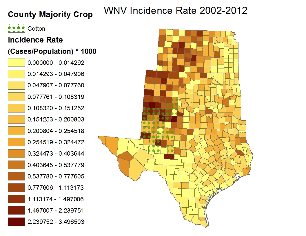 Total Incidence Rates